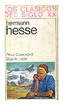 Peter Camenzind - Bajo la rueda de  Hermann Hesse