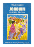 Joaquin un amigo de Jesus de  Amalia Grande