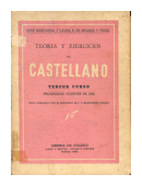 Teoria y ejercicios de castellano de  Rene Bastianini - Laura B. de Molina y Vedia