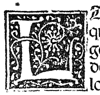 Detalle p&aacute;gina 3