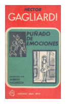 Puado de emociones - Pinceladas porteas de  Hector Francisco Gagliardi