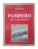 Pampero - Que es y como enfrentarlo de  Alvaro Sires