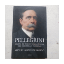 Pellegrini - Piloto de tormentas de  Miguel Angel De Marco