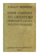 Historia del oriente - Egipto - Caldea - Palestina - Fenicia - Persia de  Alberto Malet