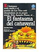 El fantasma del caaveral de  Graciela Falbo