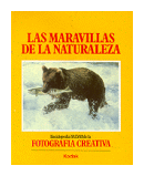 Las maravillas de la naturaleza de  Autores - Varios