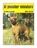 El pinscher en miniatura de  Rosa T. De Azhar