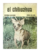 El chihuahua de  Rosa T. De Azhar