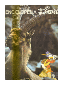 Enciclopedia disney numero: 20 de  Annimo