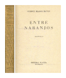 Entre naranjos de  Vicente Blasco Ibaez