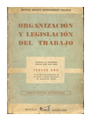 Organizacion y legislacion del trabajo de  Hector Adolfo Schuldreich Talleda