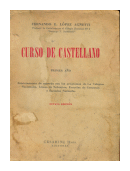 Curso de castellano de  Fernando E. López Agnetti