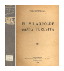 El milagro de Santa Teresita de  Pedro Pieyro (h)