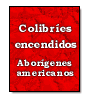 Colibres encendidos de  Aborgenes americanos