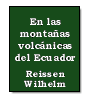 En las montaas volcnicas del Ecuador de Wilhelm Reissen