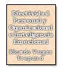 Efectividad Personal y Organizacional e Inteligencia Emocional de Ricardo Vargas Trepaud