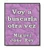 Voy a Buscarla Otra Vez de Miguel Jos Rey